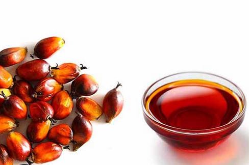 5 litres Palm Oil
