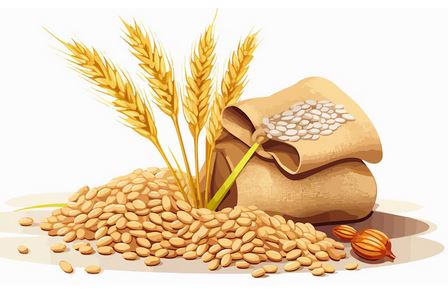 Pulses & Grains