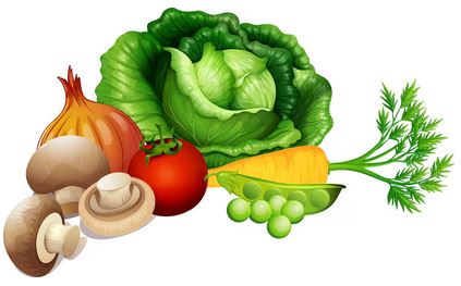 Fresh Vegetables